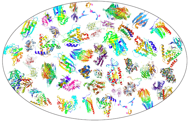 proteome